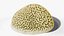 Reef and Shore Pack - Corals Seashells Sea Urchins PBR