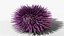 Reef and Shore Pack - Corals Seashells Sea Urchins PBR