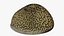 Reef and Shore Pack - Corals Seashells Sea Urchins PBR