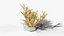 Reef and Shore Pack - Corals Seashells Sea Urchins PBR