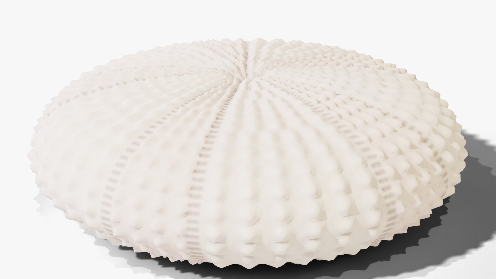 3D Reef and Shore Pack - Corals Seashells Sea Urchins PBR model https://p.turbosquid.com/ts-thumb/UC/9NaFwp/Km/26_urchintest_02_hero/jpg/1791641181/1920x1080/fit_q87/2fba6c53b7d16a8fde5605d74ebb15e2cad5206d/26_urchintest_02_hero.jpg