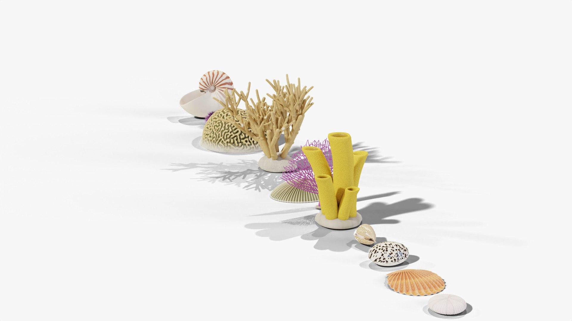 3D Reef and Shore Pack - Corals Seashells Sea Urchins PBR model https://p.turbosquid.com/ts-thumb/UC/9NaFwp/L8/03_reefandshore_03_group_back/jpg/1791641033/1920x1080/fit_q87/1ffb499d97411a0e1afc5a682a270731e6b5eab0/03_reefandshore_03_group_back.jpg