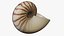 Reef and Shore Pack - Corals Seashells Sea Urchins PBR