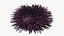 Reef and Shore Pack - Corals Seashells Sea Urchins PBR