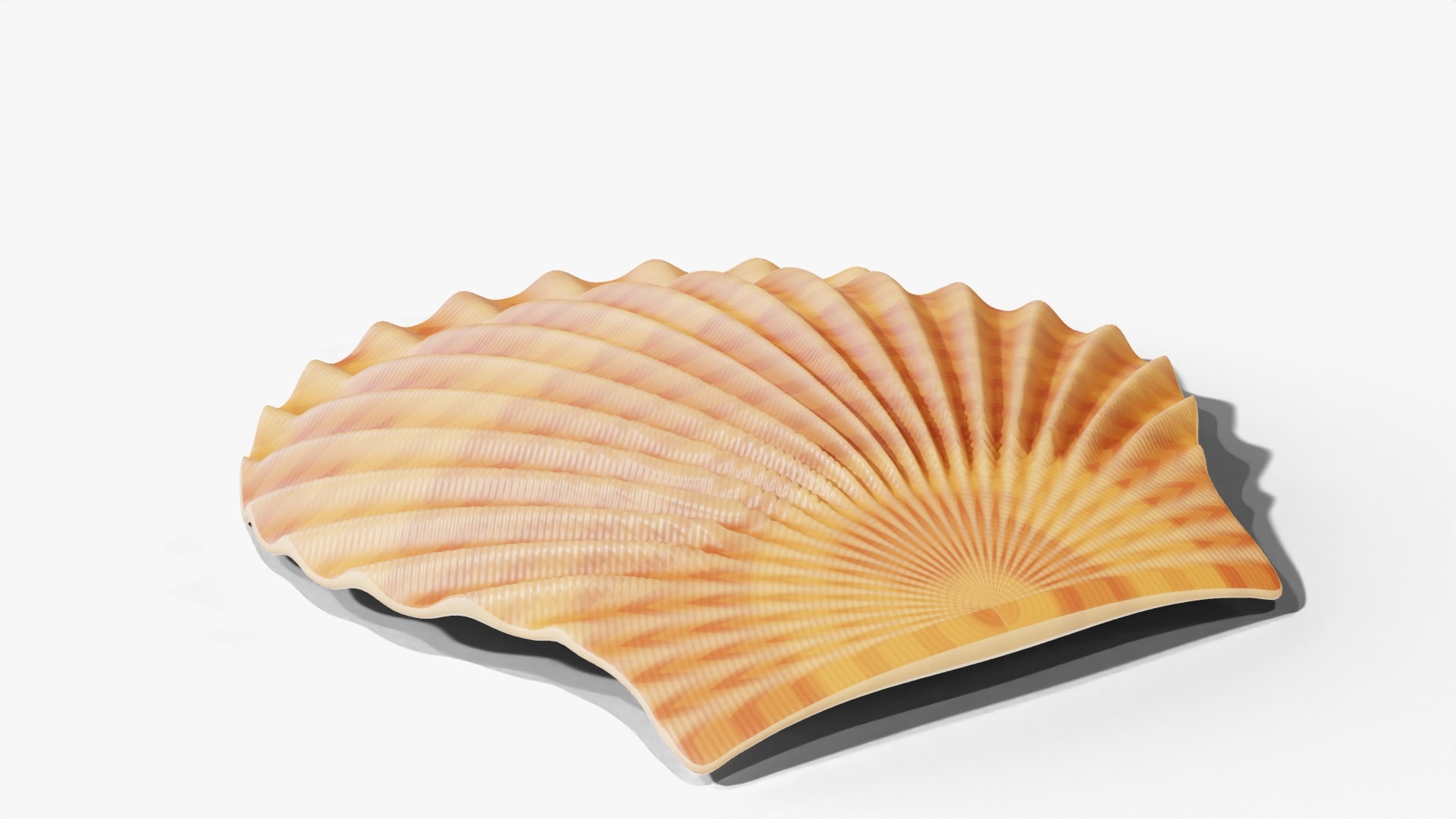 3D Reef and Shore Pack - Corals Seashells Sea Urchins PBR model https://p.turbosquid.com/ts-thumb/UC/9NaFwp/Vq/scallop_turntable/jpg/1791641333/1920x1080/turn_fit_q99/95a8c280d7cc67586fb5175659262065b1559974/scallop_turntable-1.jpg
