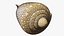 Reef and Shore Pack - Corals Seashells Sea Urchins PBR