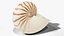 Reef and Shore Pack - Corals Seashells Sea Urchins PBR
