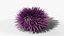 Reef and Shore Pack - Corals Seashells Sea Urchins PBR