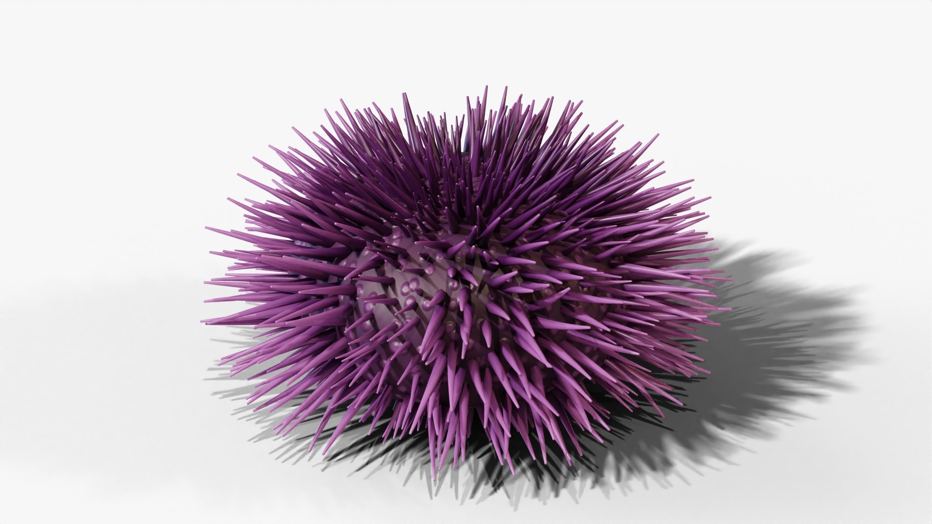 3D Reef and Shore Pack - Corals Seashells Sea Urchins PBR model https://p.turbosquid.com/ts-thumb/UC/9NaFwp/d8/seaurchin_turntable/jpg/1791641189/1920x1080/turn_fit_q99/efb7fdb16d19c88e1d3cab5ee8af49be6ba6ad1b/seaurchin_turntable-1.jpg