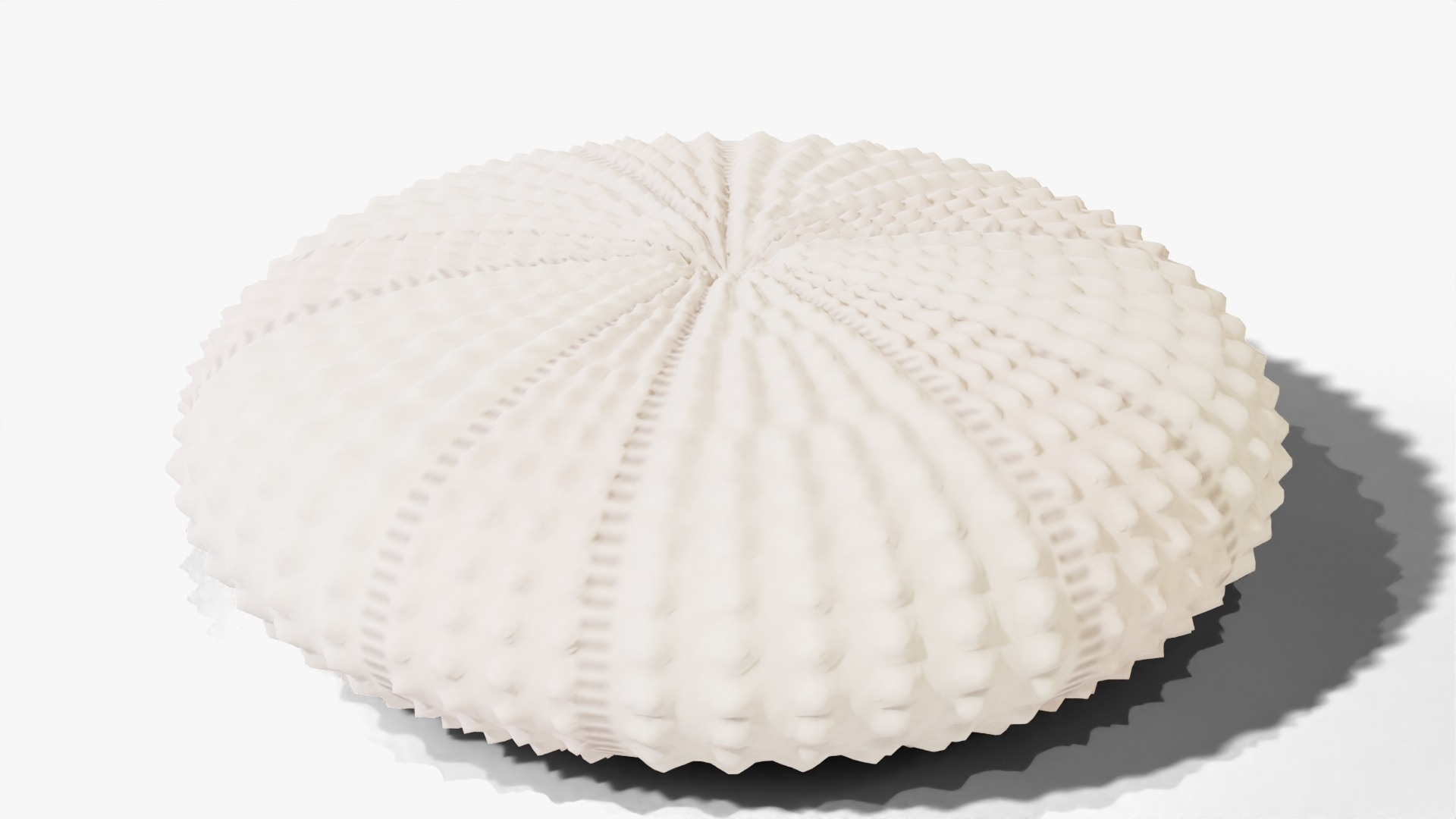 3D Reef and Shore Pack - Corals Seashells Sea Urchins PBR model https://p.turbosquid.com/ts-thumb/UC/9NaFwp/k4/urchintest_turntable/jpg/1791641425/1920x1080/turn_fit_q99/8a81bc7b5cff131f6e8e90b77089863460104036/urchintest_turntable-1.jpg