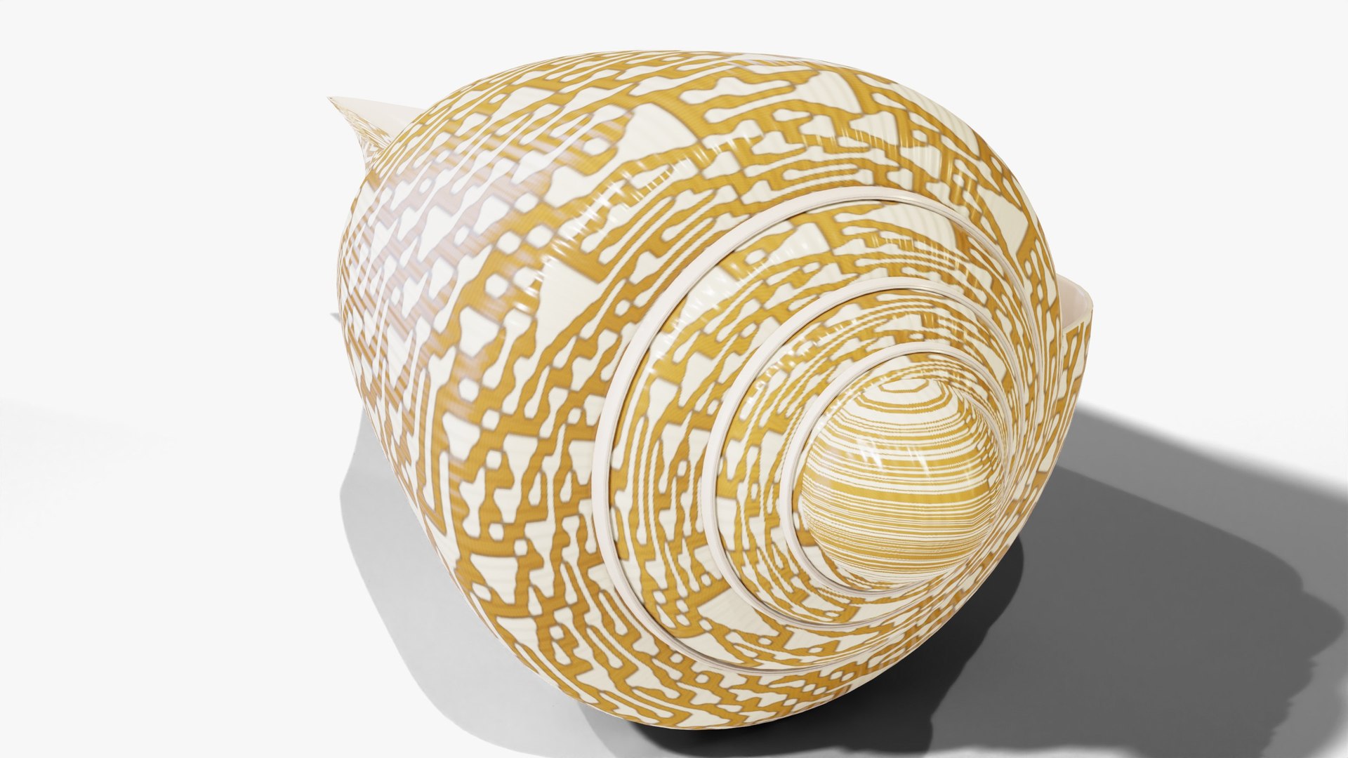 3D Reef and Shore Pack - Corals Seashells Sea Urchins PBR model https://p.turbosquid.com/ts-thumb/UC/9NaFwp/lx/20_textilecone_02_hero/jpg/1791641150/1920x1080/fit_q87/8f24e1fe96e55690405c1e7e7bc32289aeab03f1/20_textilecone_02_hero.jpg