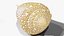 Reef and Shore Pack - Corals Seashells Sea Urchins PBR