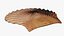 Reef and Shore Pack - Corals Seashells Sea Urchins PBR