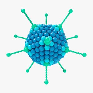 adenovirus 3D model