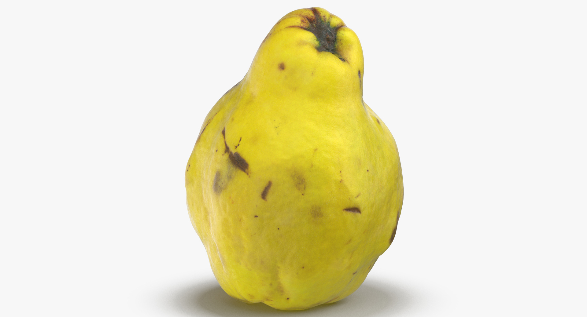 fruits 01 - 37 3D model https://p.turbosquid.com/ts-thumb/UC/IxnQua/8dvVJnmo/0000/jpg/1574417653/1920x1080/turn_fit_q99/6dcd111db7160ea849f006142a9c186beb4d4c2c/0000-1.jpg