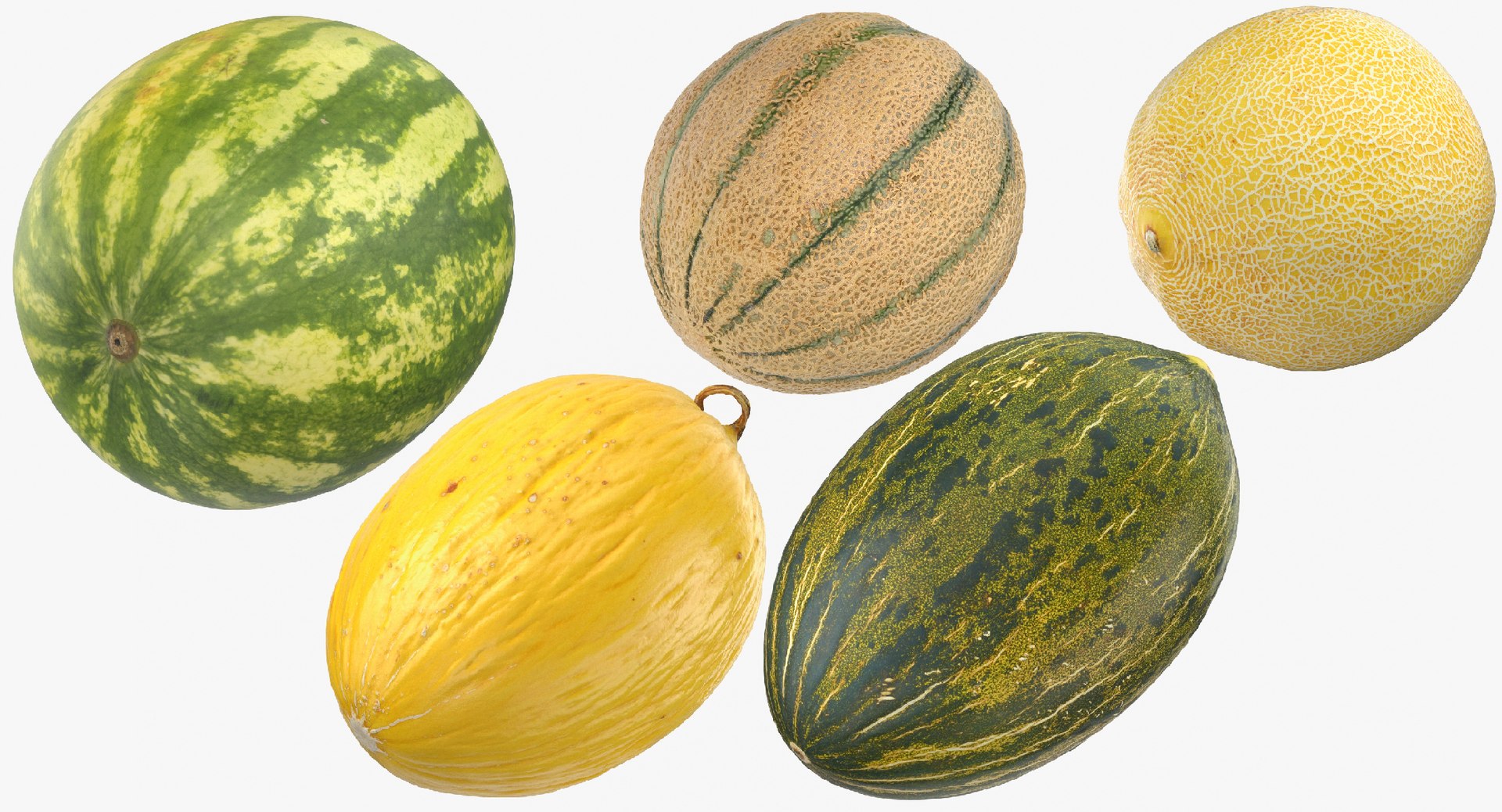 fruits 01 - 37 3D model https://p.turbosquid.com/ts-thumb/UC/IxnQua/MOWNneqc/fruits_collection_01_group_thumbnail_08/jpg/1574417045/1920x1080/fit_q87/c935d714929cd9f24934443e6cc41d0ea473b015/fruits_collection_01_group_thumbnail_08.jpg