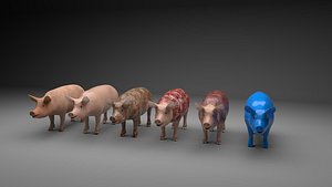 3D model 6 different modeled