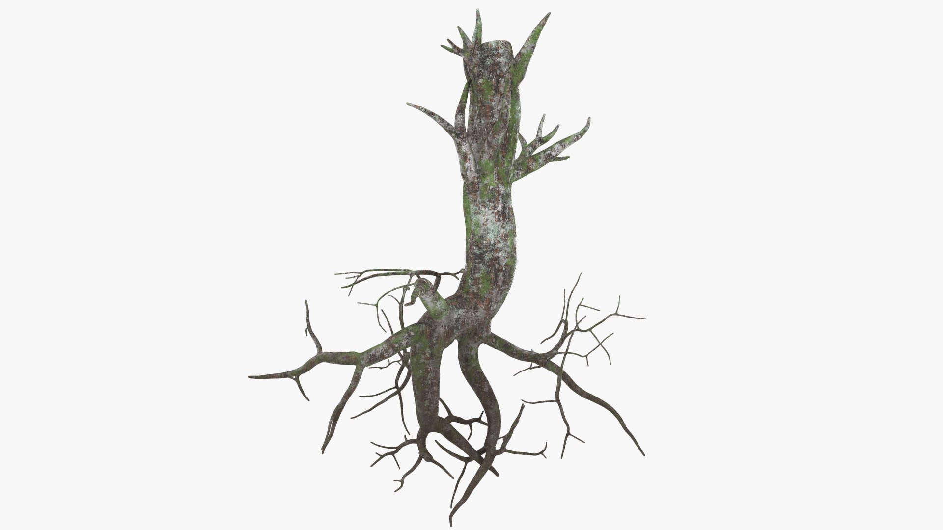3D Tree Root 03 Color 2 Model - TurboSquid 2148524