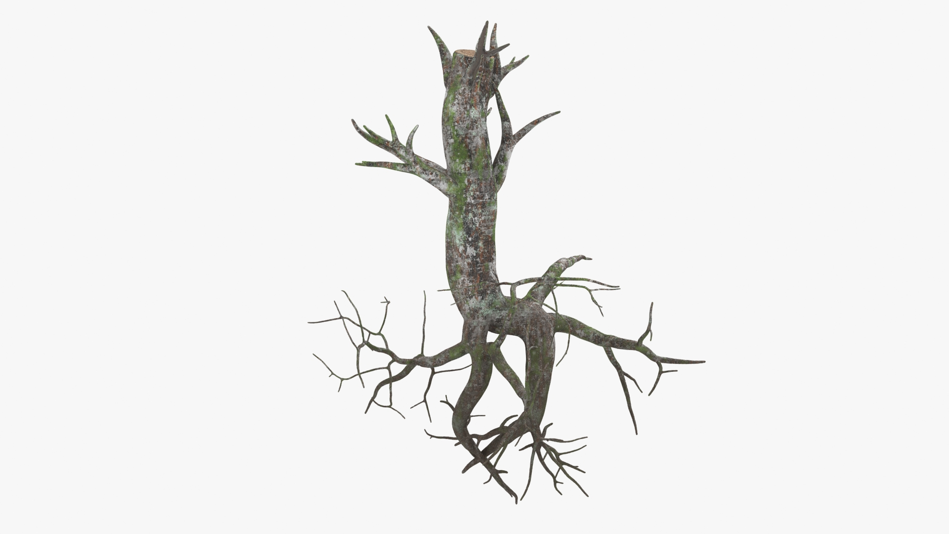 3D Tree Root 03 Color 2 Model - TurboSquid 2148524