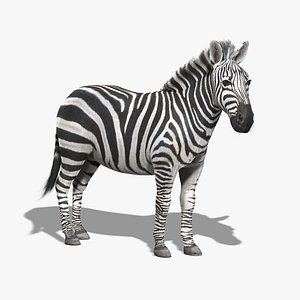 3dsmax photorealistic zebra fur
