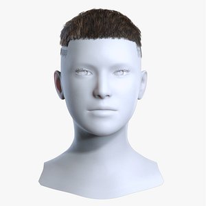 Textured Caesar Crop Brown Hair with High Fade 3D Asset 3D