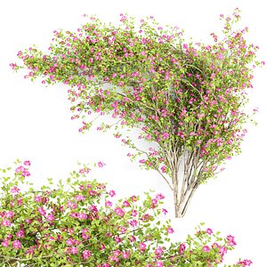 Climbing Wall Flowers Collection Vol 281-3Dmodels 3D model