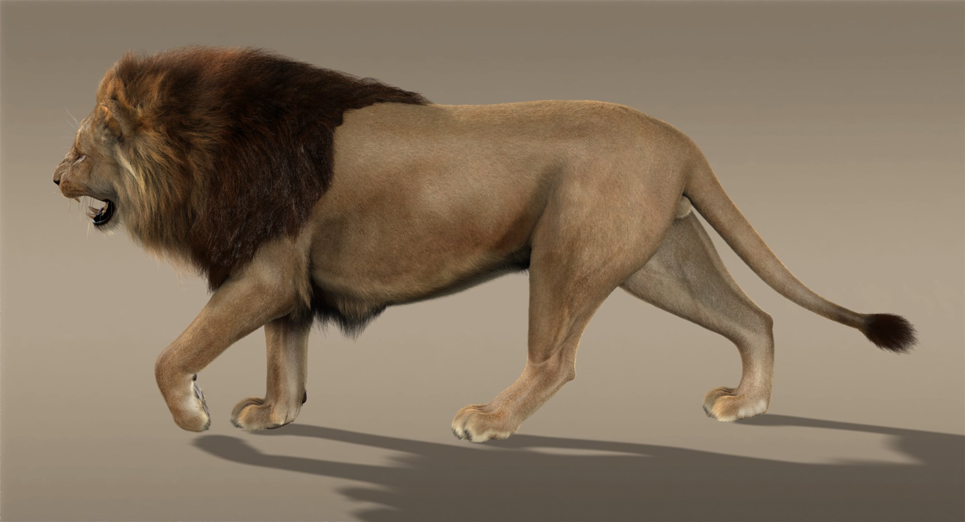 lion fur 3d obj https://p.turbosquid.com/ts-thumb/UC/uMGY9W/5mvq0Cv3/u/jpg/1428380471/1920x1080/fit_q87/91ff0298fa4599b1a152d178c11927866dd09823/u.jpg