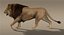 lion fur 3d obj