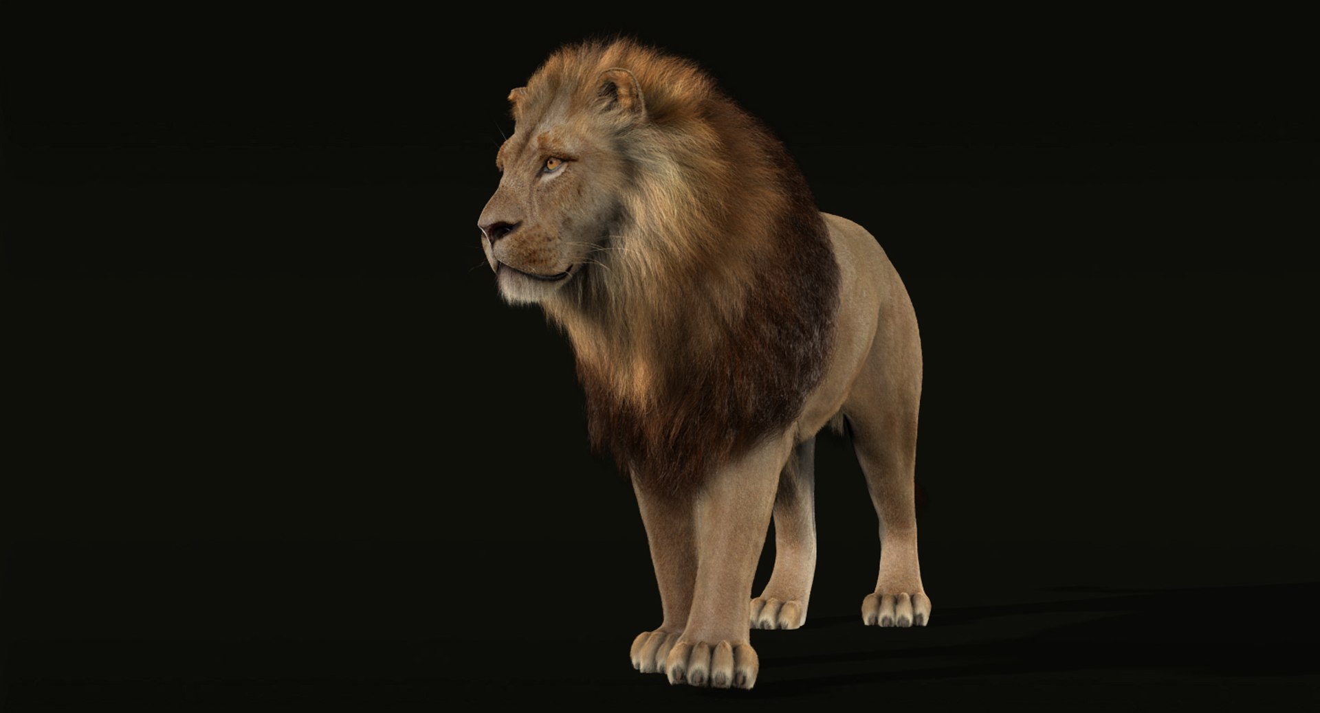 lion fur 3d obj https://p.turbosquid.com/ts-thumb/UC/uMGY9W/7uL9aH94/a/jpg/1431595156/1920x1080/fit_q87/0617d3cd77ea5ac3cafb0383a60977c686be2d30/a.jpg