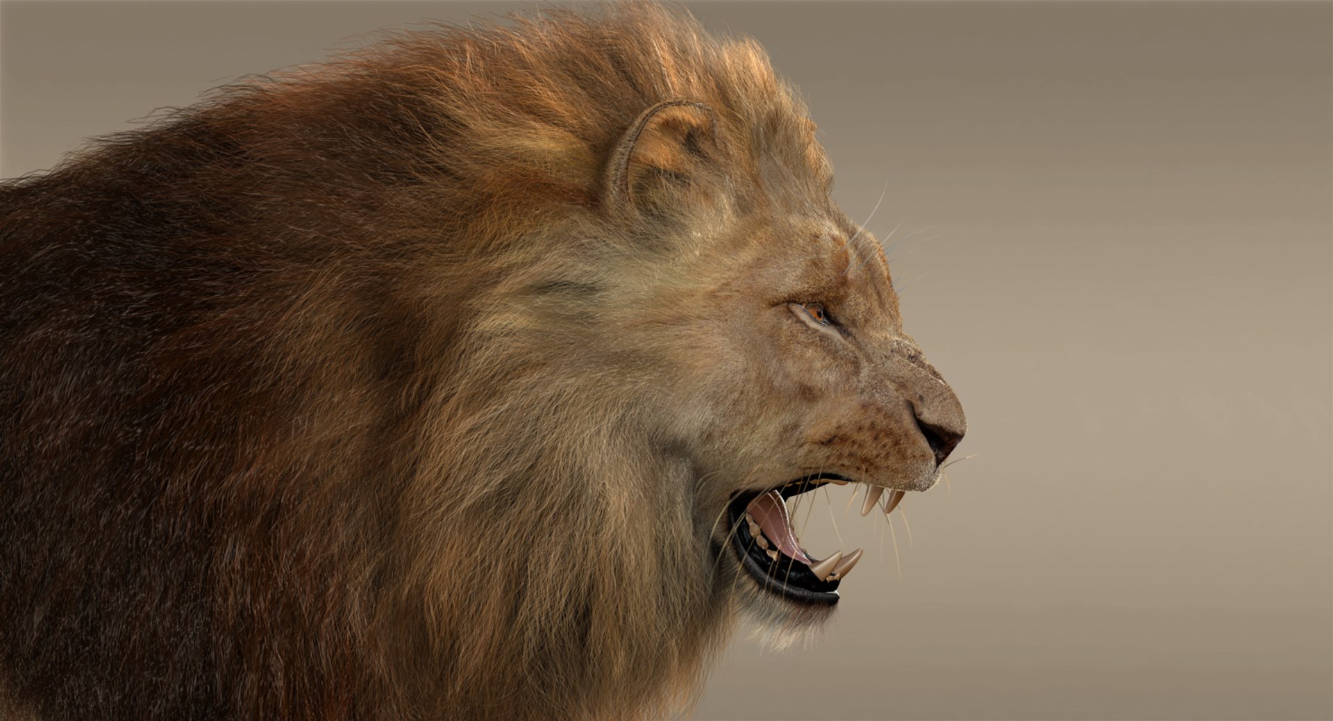 lion fur 3d obj https://p.turbosquid.com/ts-thumb/UC/uMGY9W/BcMqkKp8/l/jpg/1428371609/1920x1080/fit_q87/4482a6ec20f4afa7adac7f9d1cc66e442db555b2/l.jpg