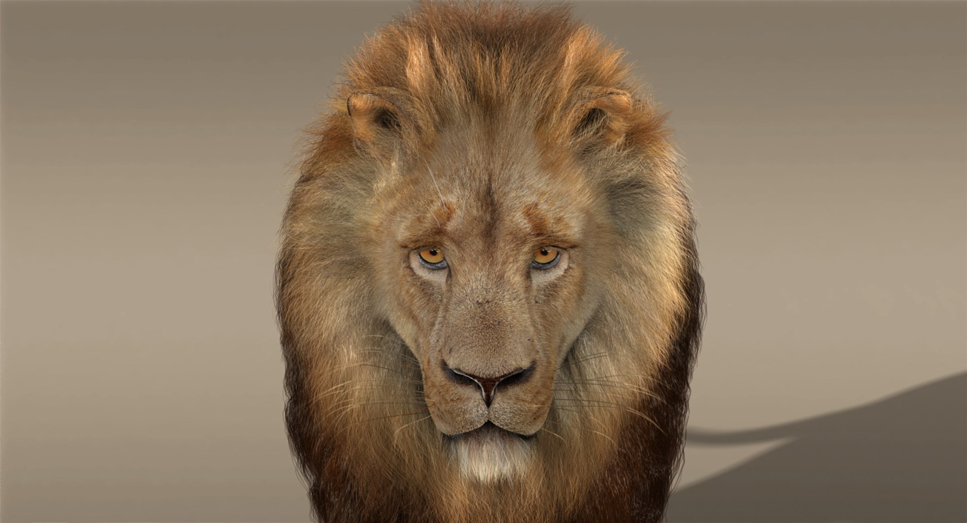 lion fur 3d obj https://p.turbosquid.com/ts-thumb/UC/uMGY9W/HUySpmlq/s/jpg/1428377938/1920x1080/fit_q87/8cb57f2c74d32c1f077b58cb3f5ab74354e4ce1a/s.jpg