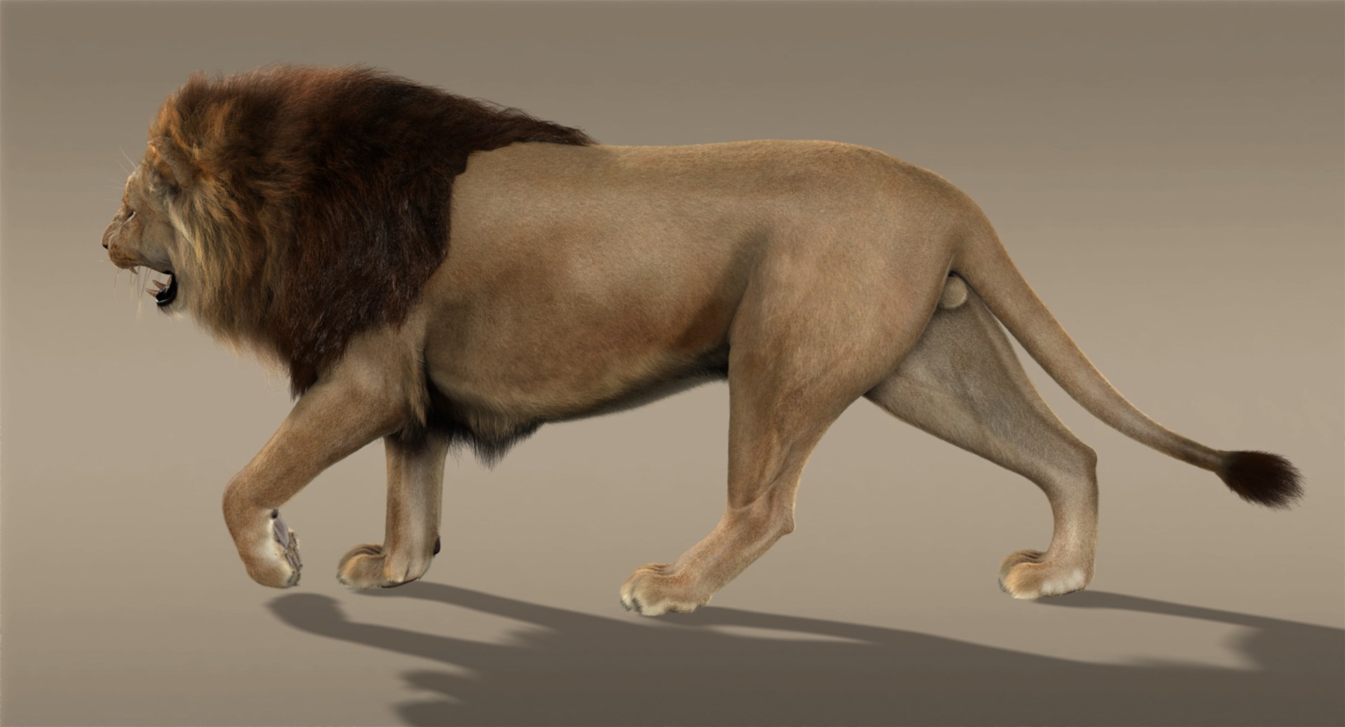 lion fur 3d obj https://p.turbosquid.com/ts-thumb/UC/uMGY9W/Z6zbA08h/r/jpg/1428377847/1920x1080/fit_q87/f990a21f51ec701aca503dfcd2b5f775ed4b1422/r.jpg