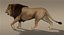 lion fur 3d obj