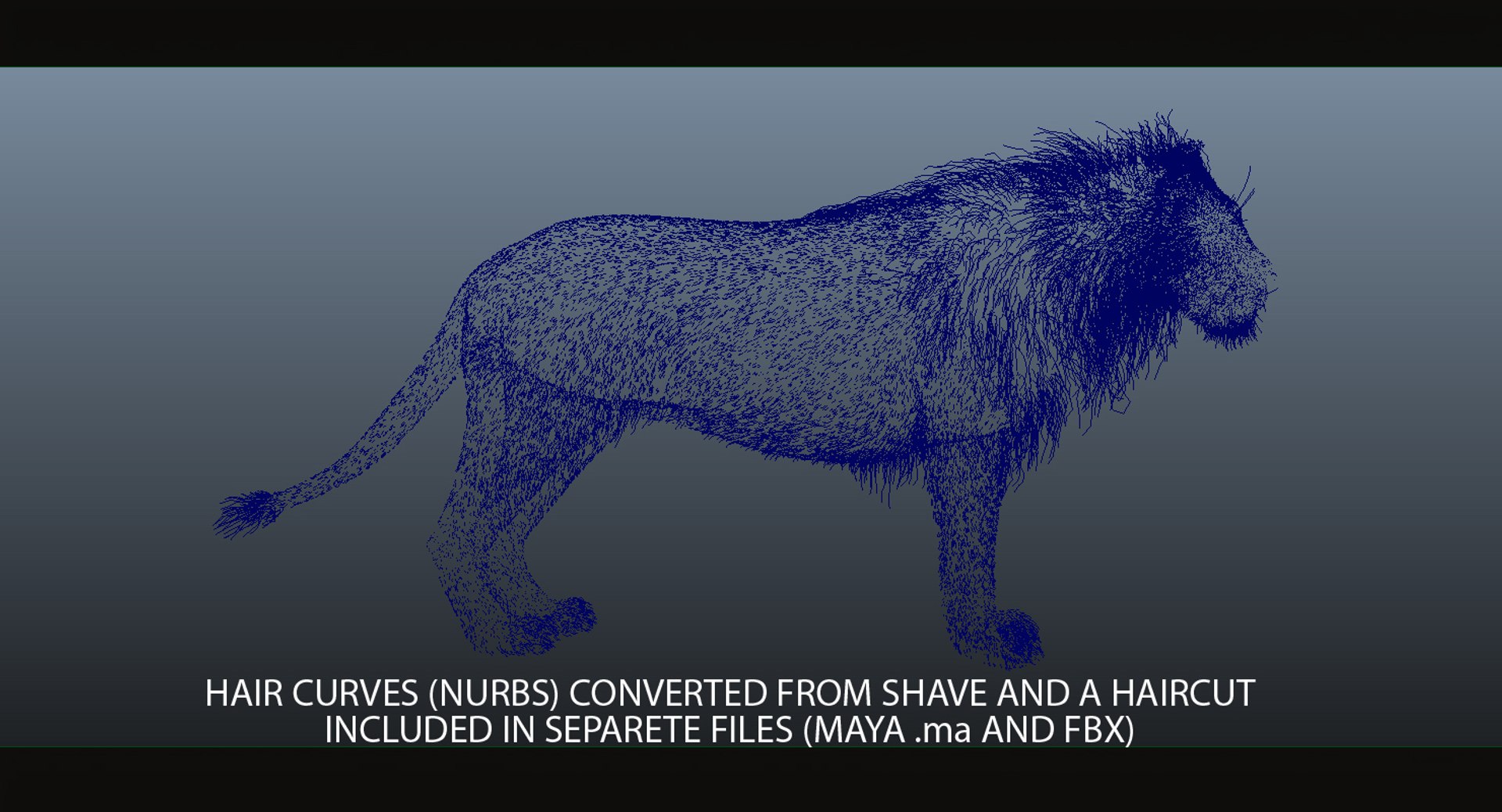 lion fur 3d obj https://p.turbosquid.com/ts-thumb/UC/uMGY9W/Zsvs0f04/q/jpg/1431596485/1920x1080/fit_q87/fb04c97c731f9bbe988924edf8ebc9e824cf0cdf/q.jpg