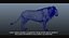 lion fur 3d obj