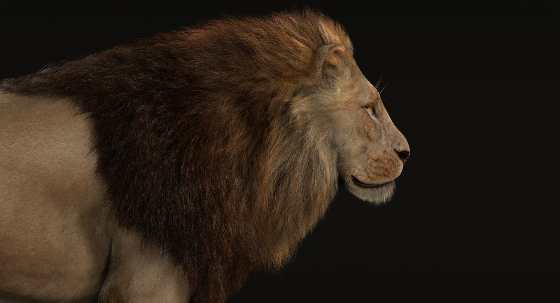 lion fur 3d obj https://p.turbosquid.com/ts-thumb/UC/uMGY9W/eJ121tHU/b/jpg/1431596171/1920x1080/fit_q87/93ebb44521e4b7a13cb71d6a3374c0880b85d252/b.jpg
