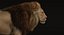 lion fur 3d obj