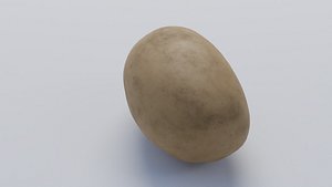 potato 3D model