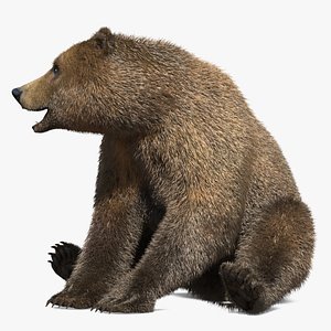Realistic Bear Figure with Fur Rigged model