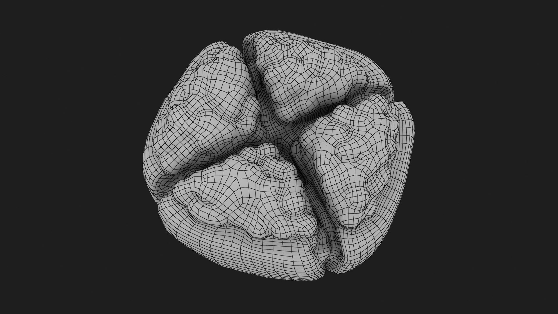 Split Open Pomegranate Fruit 3D https://p.turbosquid.com/ts-thumb/UD/V2R7Lz/lN/splitpomegranatefruit_g0016/jpg/1665202372/1920x1080/fit_q87/808f15ad907380b7dd57a0c24e344bf563b8e21a/splitpomegranatefruit_g0016.jpg