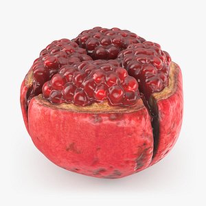 Split Open Pomegranate Fruit 3D