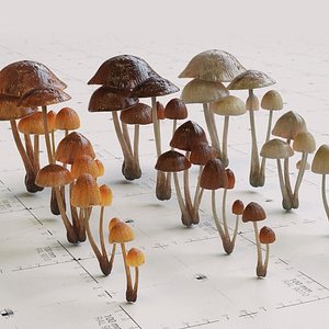 Mushroom Psilocybe 3 Types plus Emissive Textures - PBR AssetKit
