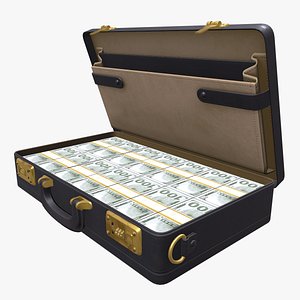 Briefcase With Money
