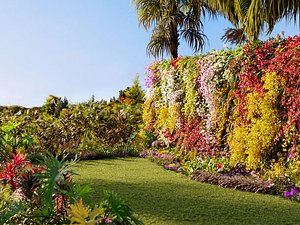 Orchid plant collection GrowFX and Mesh