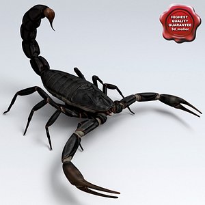 scorpion black 3d model