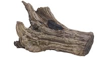 Petrified Wood Stump
