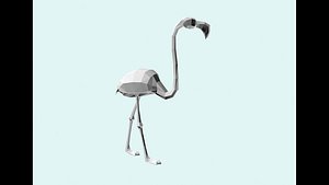 flamingo