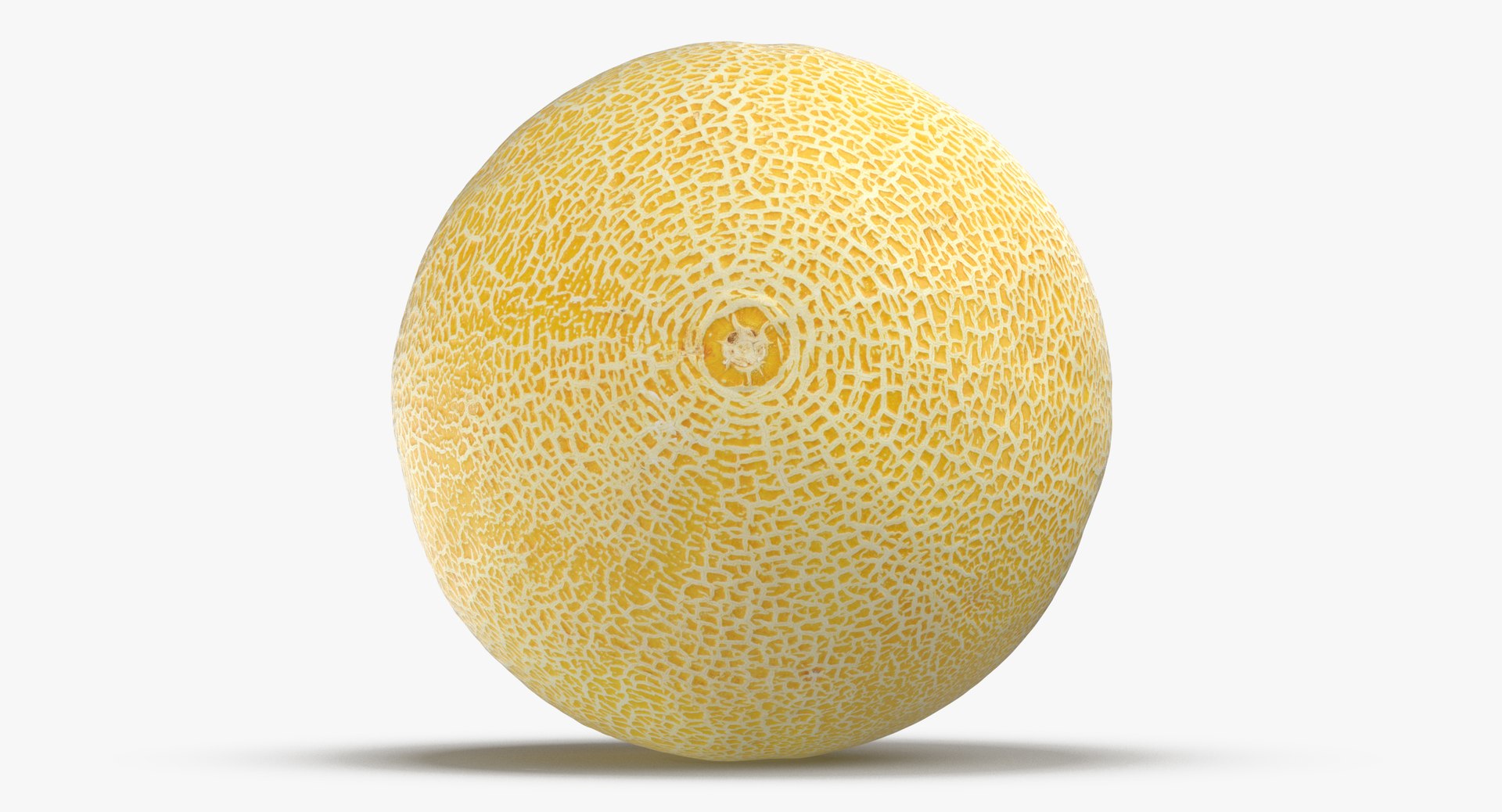 Galia melon 01 3D model TurboSquid 1378085
