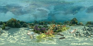 Ocean floor coral reefs  Shoal of fish