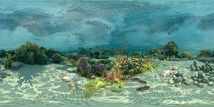 Ocean floor coral reefs Shoal of fish
